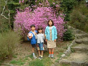 ���J�̎R��