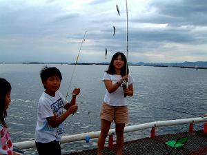 �q�������ɂ��ȒP�ɒނ�܂�