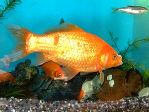 ��������ƃJ�����c���������Ă��܂�