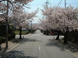 �z�؊�_�ЎQ���̍�����