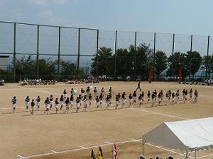 �Q�O�O�V�N��y�����w�̈��