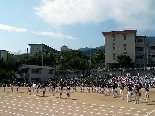 �Q�O�O�V�N�X���}�[�`���O ��y�����w�Z