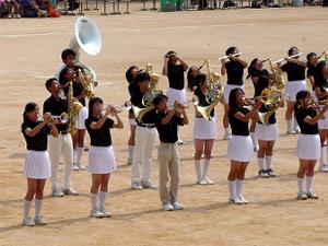 �Q�O�O�W�N��y�����w�̈��