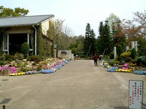 �t�̗Ή��A��������