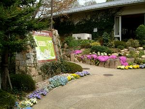 �t�̗Ή��A�����A�΂̑��k��