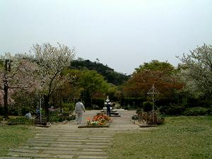 �Ή��A��������