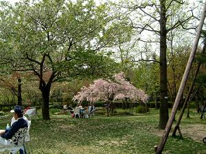 �Ή��A�������̂������