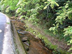 �z�^���̏���