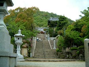 �_�􎛐���