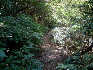 �h�ю��`�S���S���x�ւ̃n�C�L���O��