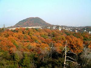 �g�t�ɕ�܂��k�R�����r���ӂ̎R�X