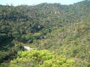 �S���S���x�������猩�グ��