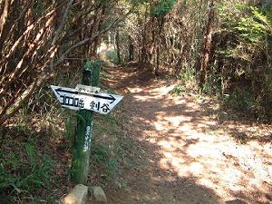 �L�����ɏo�Ĉꑧ