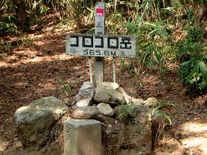 �T�U�T�D�U�i�S���S���j�x�Ȃ�ł�