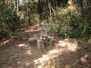 �S���S���x�R��