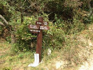 �������R�Ƃ̕���_