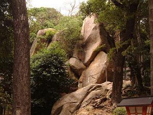 ���_�́g����h