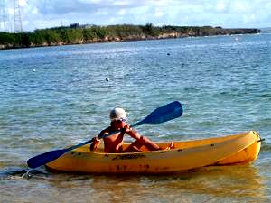 �o�h�b�T�C�p���@�r�[�`