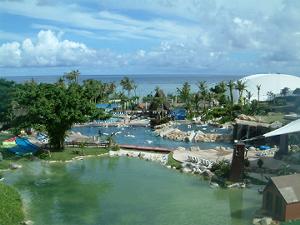 �o�h�b�O�A���@�S�i