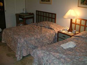 �o�h�b�O�A���@�z�e���̕���