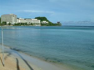 �o�h�b�O�A���@�r�[�`