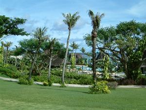 �o�h�b�O�A���@�z�e�����̒뉀